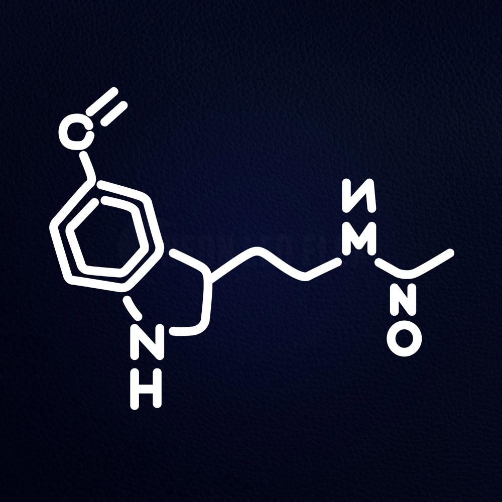 Origanic Chemistry Melatonin Momecule 20" x 19" LED Neon Sign