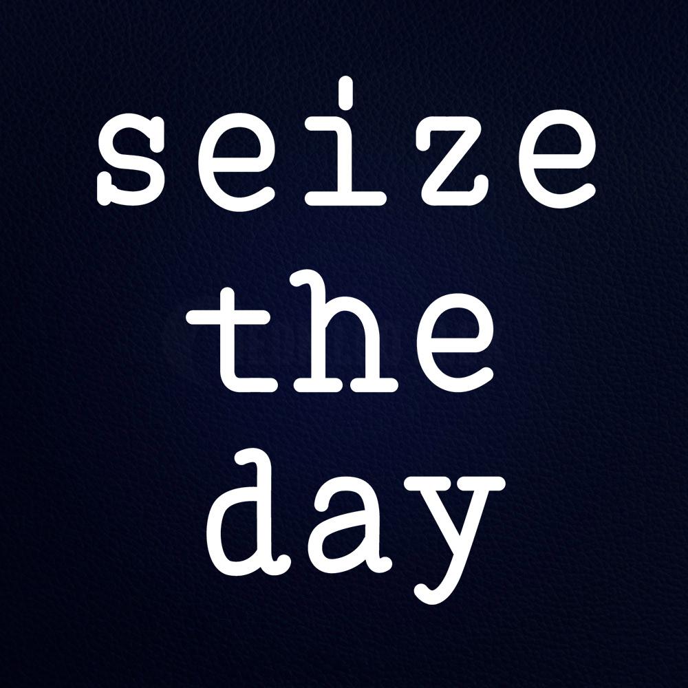 Seize the Day 16" x 17" LED Neon Sign