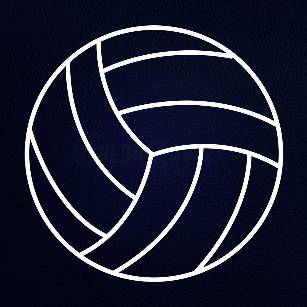 Sports Volleyball Icon 24" x 24" LED Neon Sign