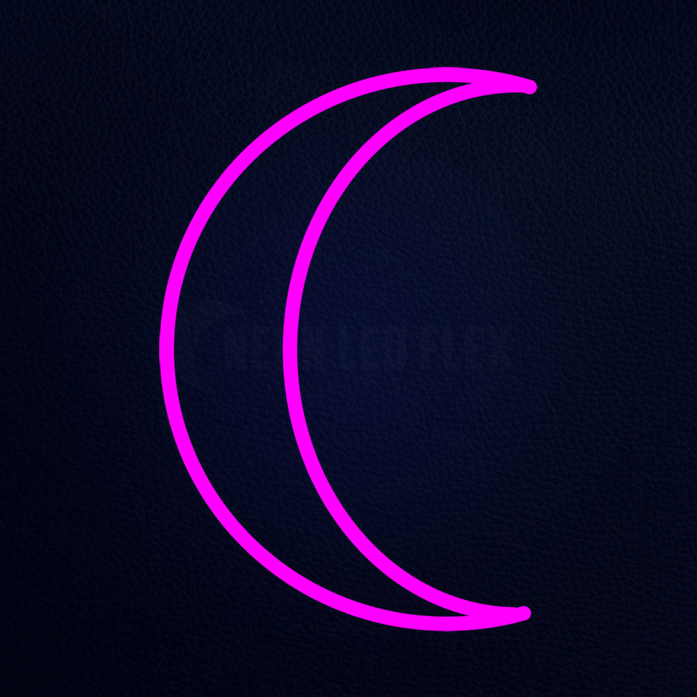 Computer Icon License Moon 14" x 17" LED Neon Sign