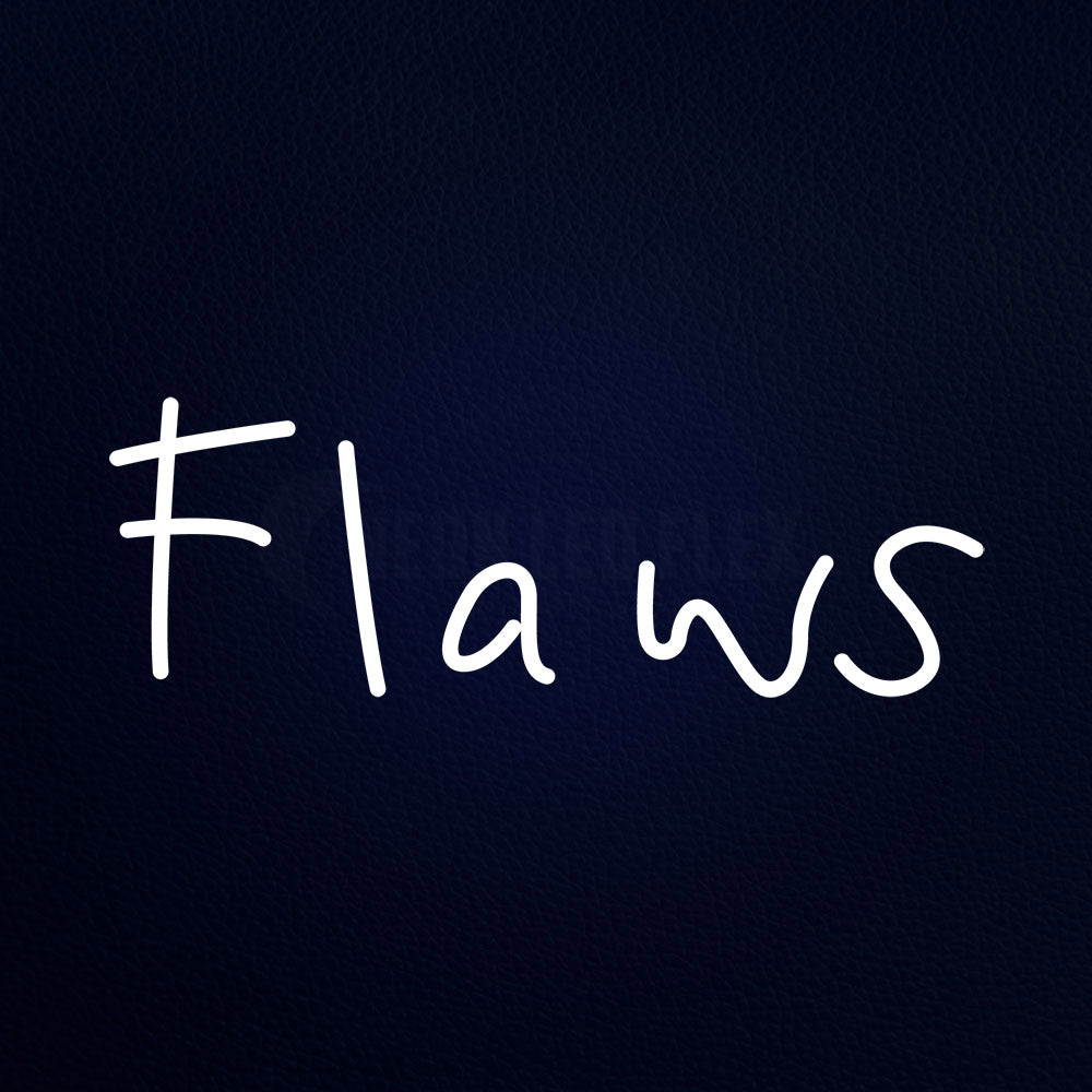 Flaws 24" x 10" LED Neon Sign