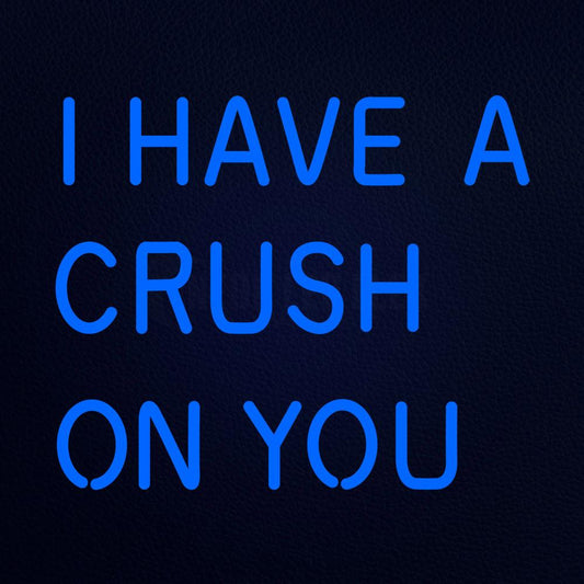 I Have a Crush on You 18" x 16" LED Neon Sign