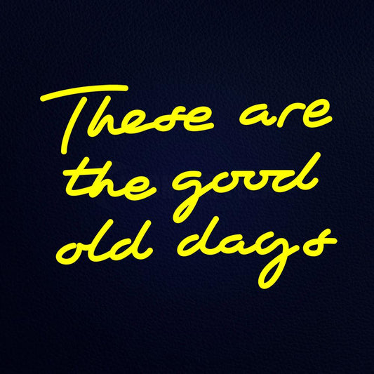These Are the Good Old Days 21" x 15" LED Neon Sign