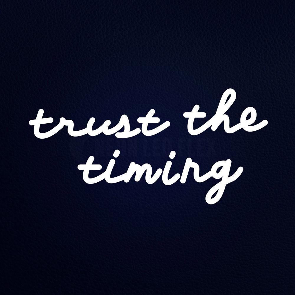 Turst the Timing 19" x 10" LED Neon Sign