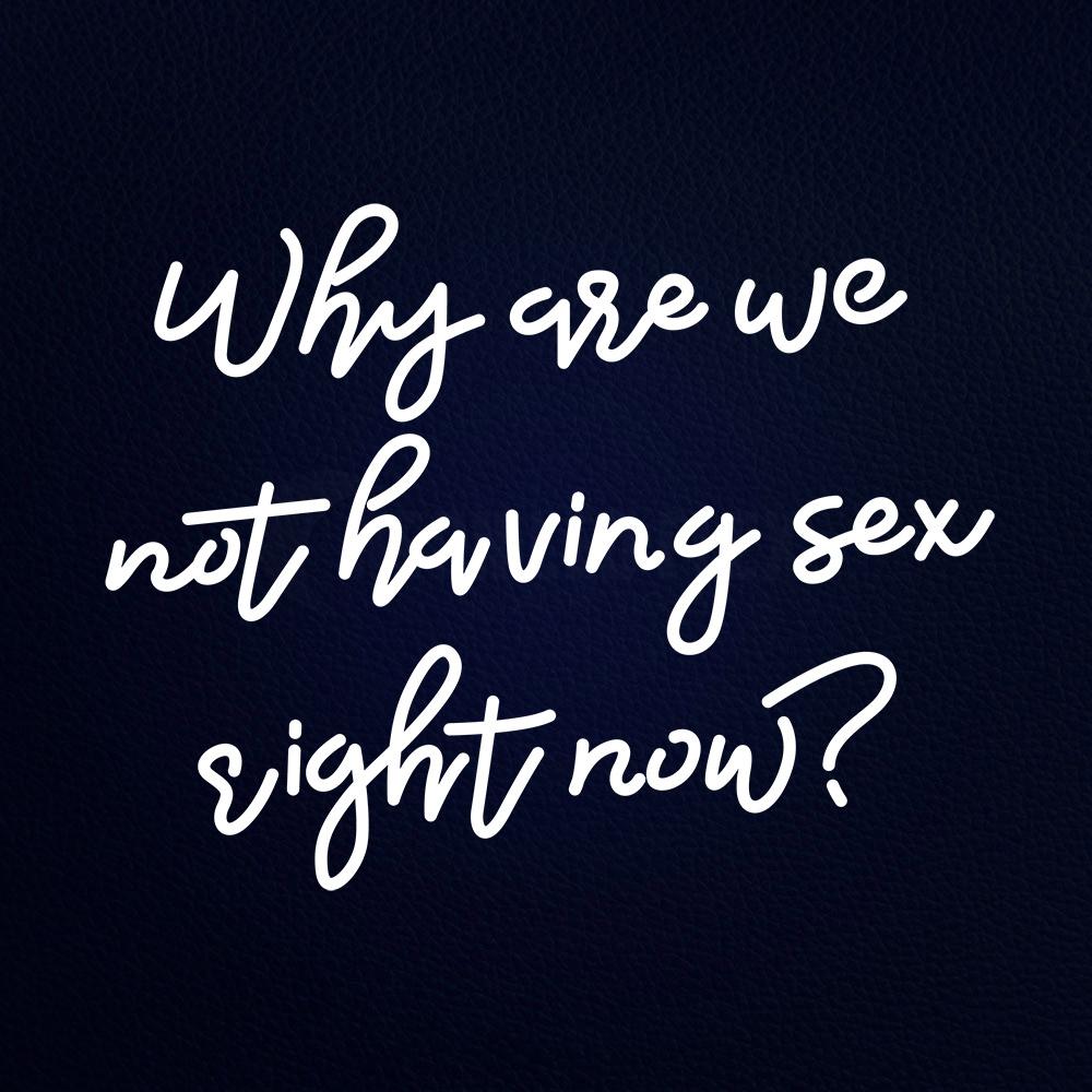 Why Are We Not Having Sex Right Now Real 31" x 24" LED Neon Sign