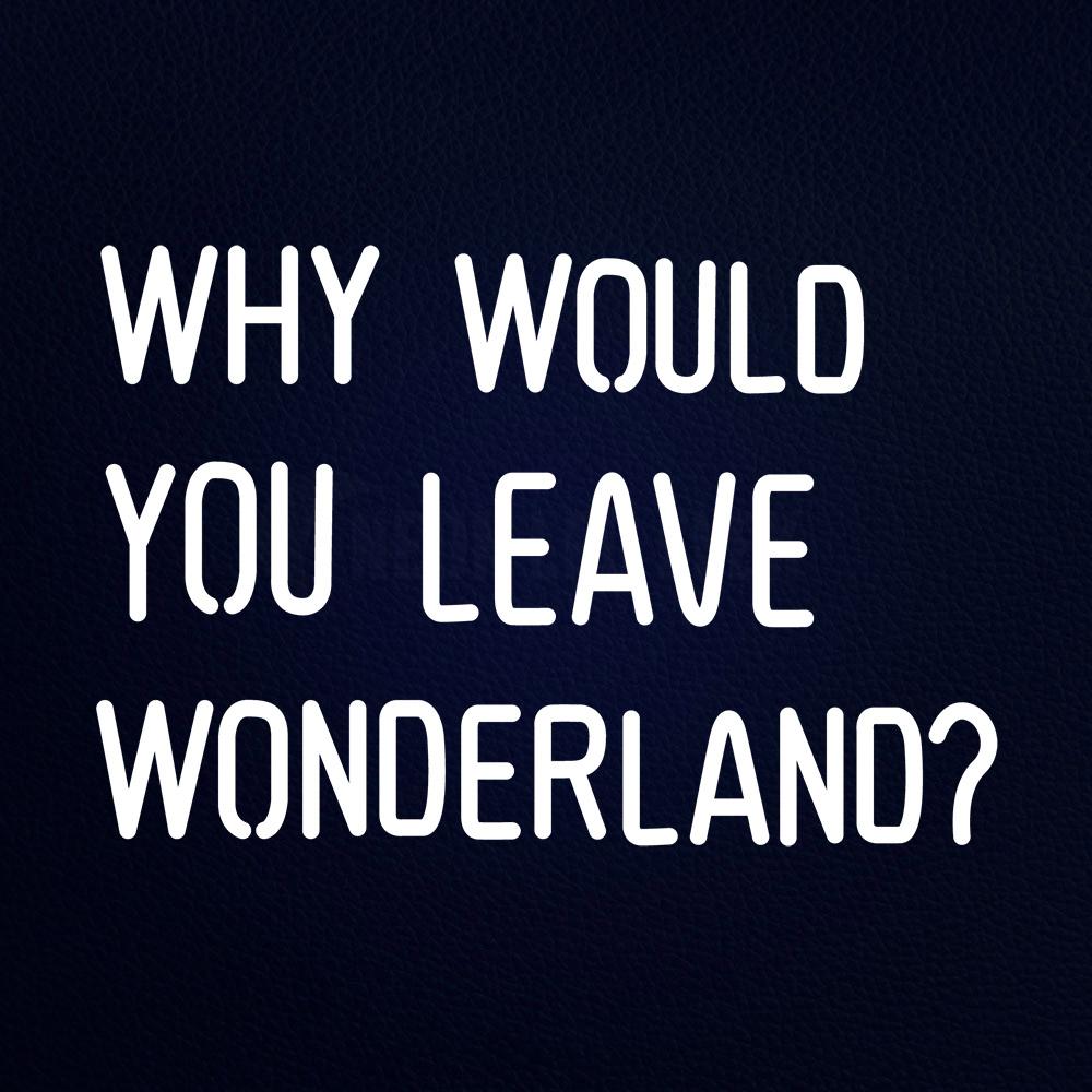 Why Would You Leave Wonderland 21" x 15" LED Neon Sign