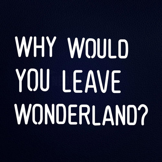 Why Would You Leave Wonderland 21" x 15" LED Neon Sign